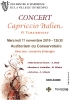 affiche-concert-101111