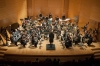 concert20141116-24