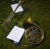 beaux les instruments en repos sur l'herbe