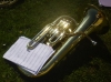 beaux les instruments en repos sur l'herbe